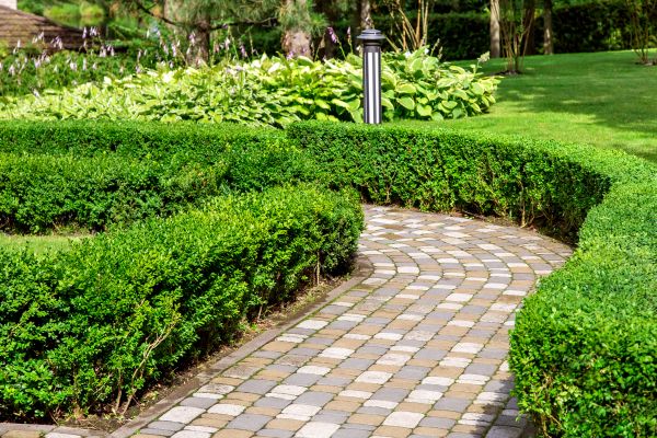 Paved Landscaping in Napa