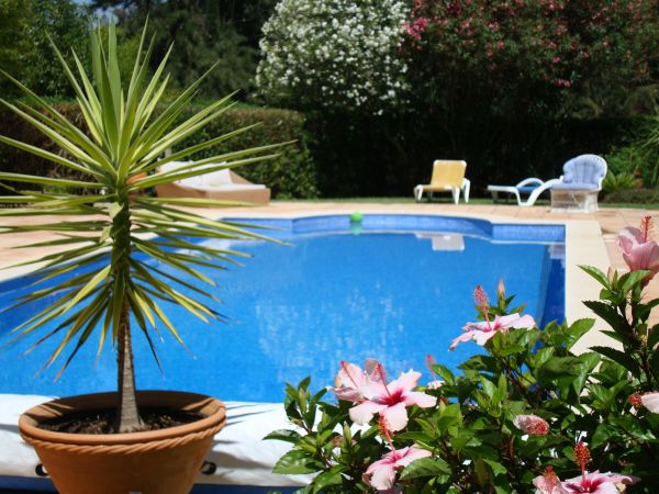 Pool Terrace Renovation in Napa