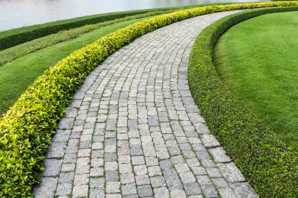 Sidewalk Pavers Installation in Napa